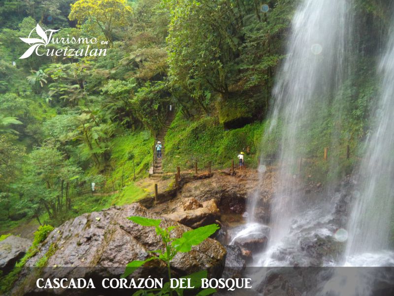 Cascada corazón del bosque