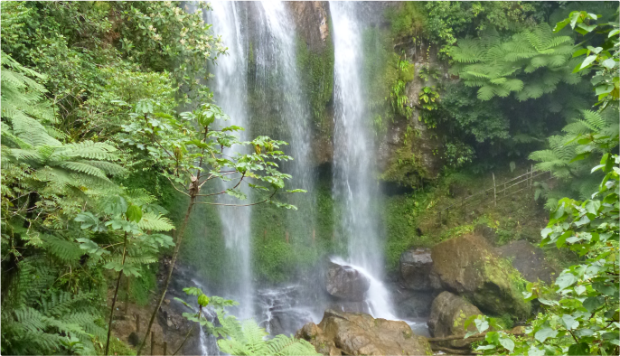 Cascada corazón del bosque