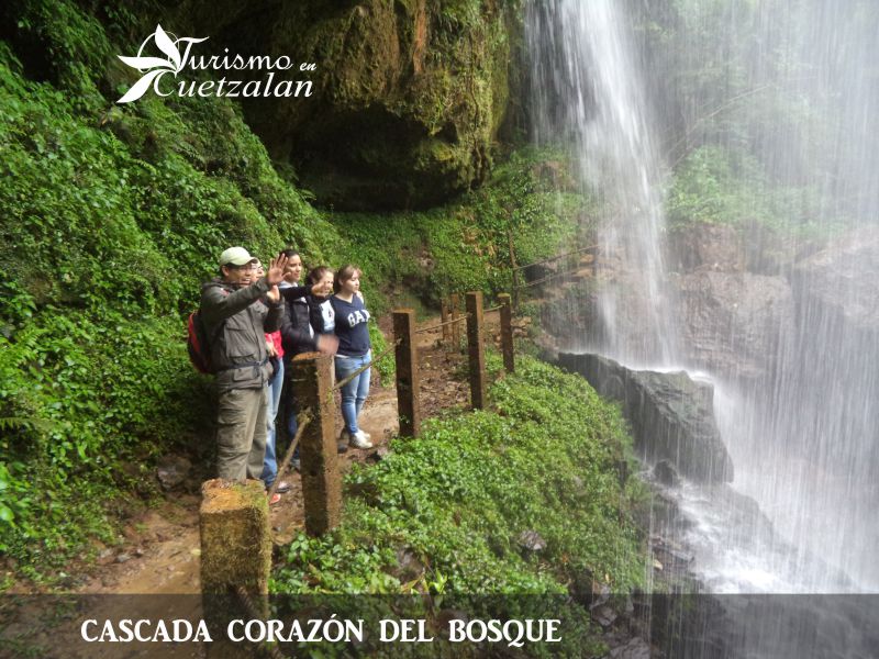 Cascada corazón del bosque