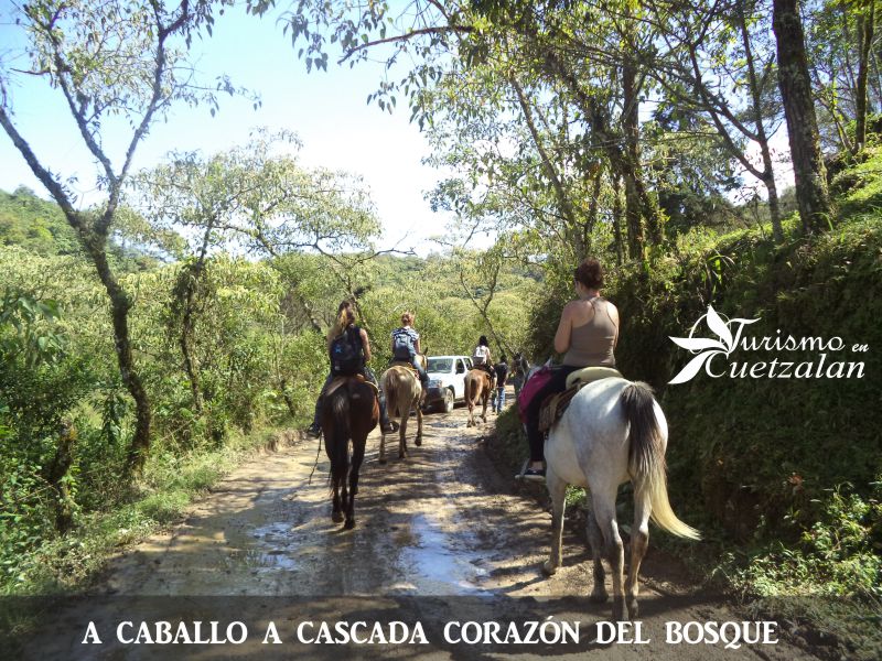 Paquete 2 - a caballo a cascada corazón del bosque